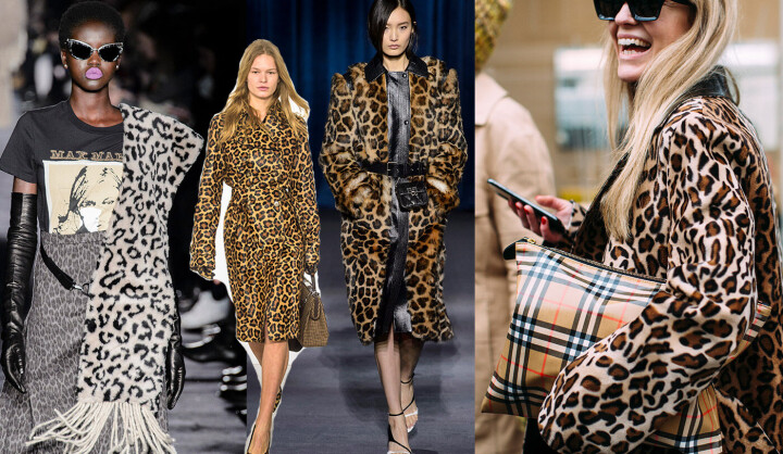 Leopardfeber