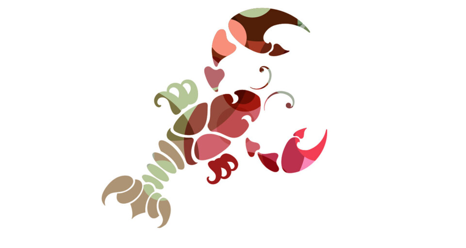 2019: Årshoroskop for Krepsen