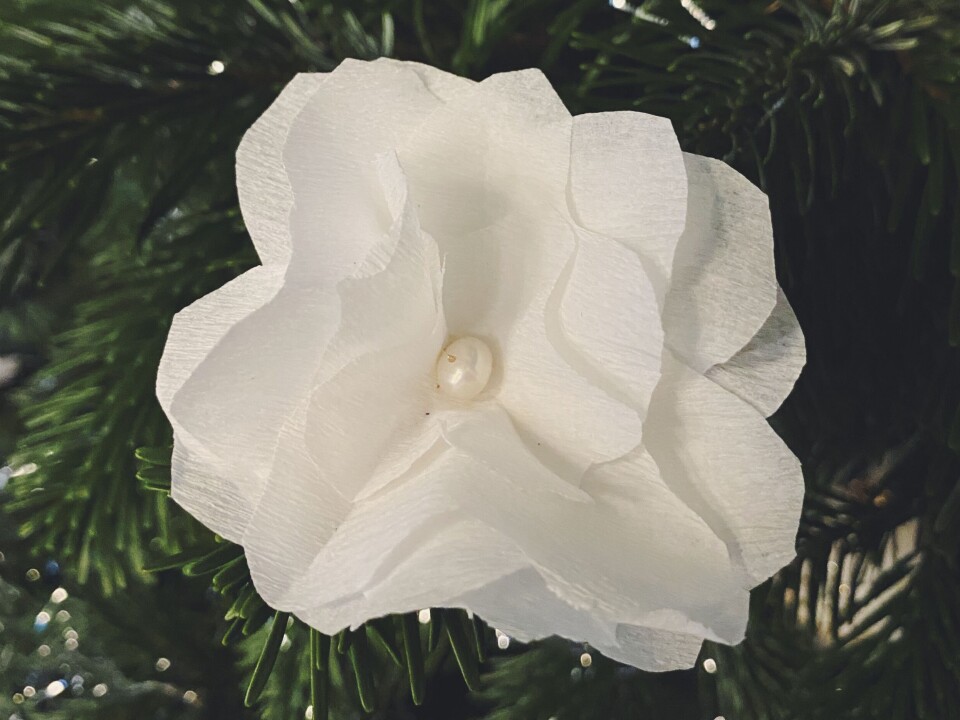 Hjemmelaget julepynt: Papirblomster i krepp