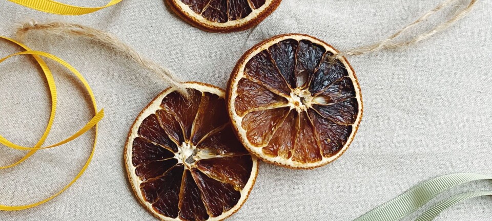 Hjemmelaget julepynt: Tørkede appelsiner