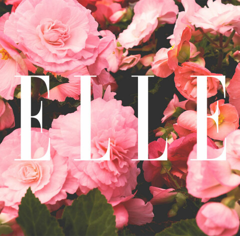 En sommerhilsen fra ELLE