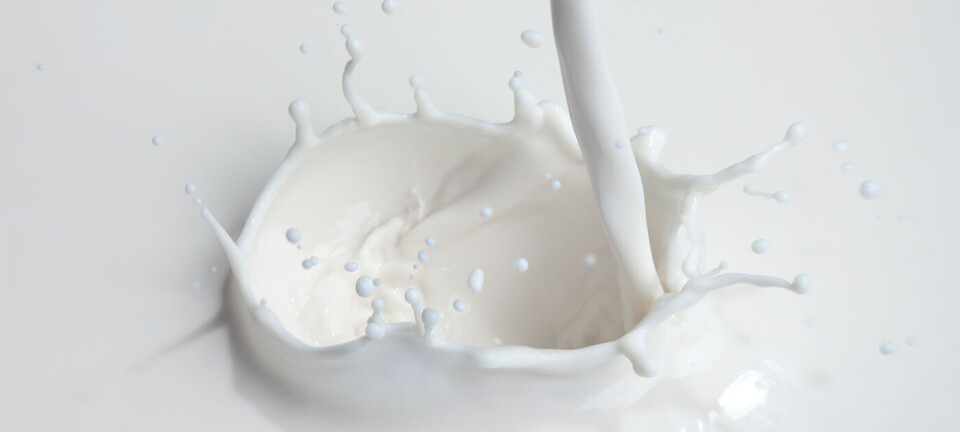 5 digge melkealternativer