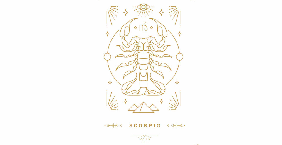 Sommerhoroskop 2022 skorpionen