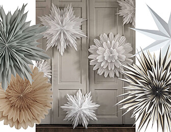 Dette er årets vakreste julestjerner