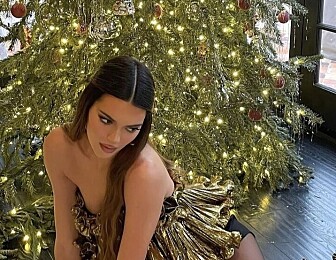 11 fine kjoler til julaften