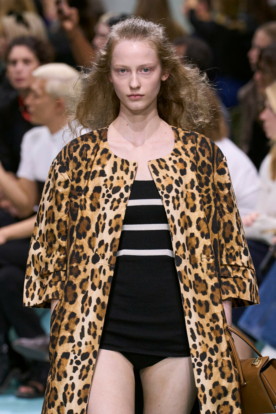 Leopard à la vår