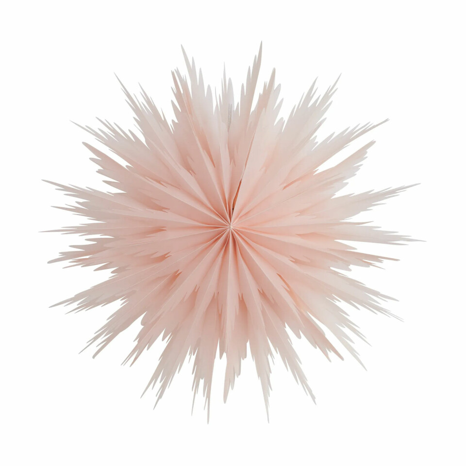 Dette er årets vakreste julestjerner