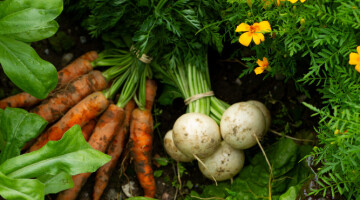 Hva er egentlig greia med å spise sesongbasert, lokal mat?