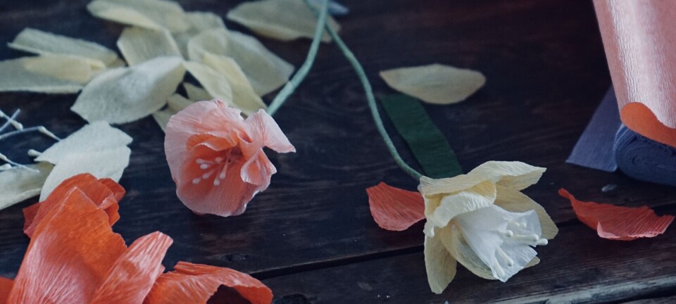 Slik lager du blomster av kreppapir