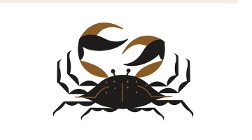 Sommerhoroskop 2025: Krepsen