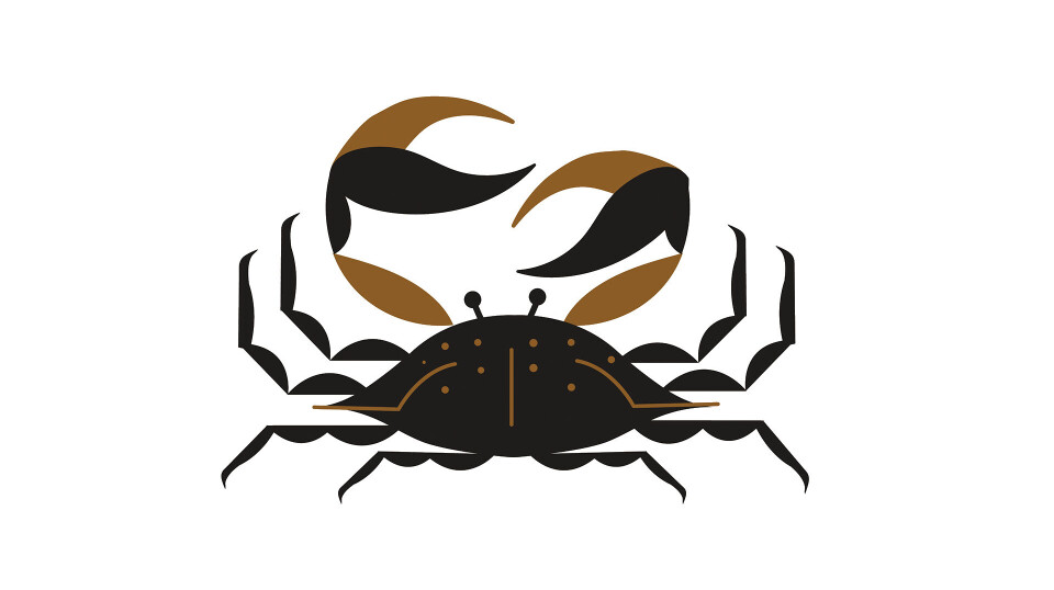 Sommerhoroskop 2025: Krepsen Horoskop krepsen sommeren 2025