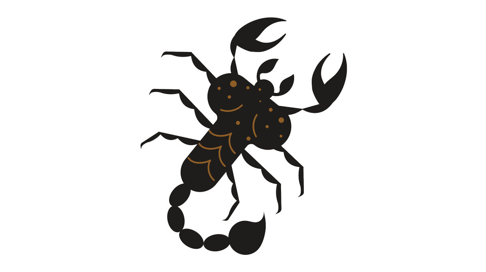 Sommerhoroskop 2025: Skorpionen Horoskop skorpionen sommeren 2025
