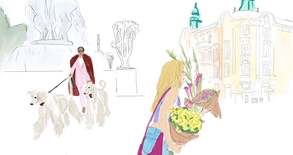 Osloguide: Opplev det beste av Majorstuen og Frogner