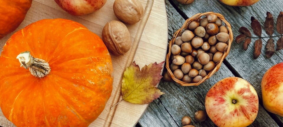 Høstoppskrifter med gresskar