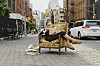 Person sitter i en mønstret lenestol på et fortau i en travel bygatescene.