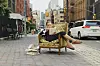 Person sitter i en mønstret lenestol på et fortau i en travel bygatescene.